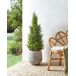 Beliani Planta artificial CEDAR TREE Beliani Planta artificial CEDAR TREE Verde