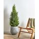 Beliani Planta artificial CEDAR TREE Beliani Planta artificial CEDAR TREE Verde