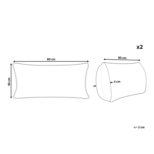 Conjunto de 2 almofadas PELISTER Alta Microfibra 40 x 80 cm Branco