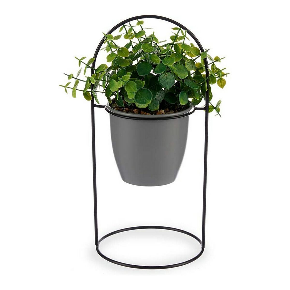 Planta Decorativa