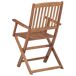 4 Sillas de jardín plegables de madera con cojines 4 Sillas de jardín plegables de madera con cojines Beige