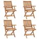 4 Sillas de jardín plegables de madera maciza de teca 4 Sillas de jardín plegables de madera maciza de teca Marrón