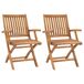 2 Sillas de jardín plegables de madera maciza de teca 2 Sillas de jardín plegables de madera maciza de teca Multicolor