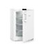 Congelador Liebherr 1 puerta Table Top ,D Fd 1404 001 20 Congelador Liebherr 1 puerta Table Top ,D Fd 1404 001 20 Natural/ Blanco