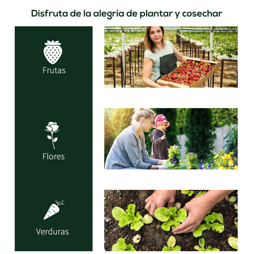 Outsunny Estufa 250x100x80cm para Jardim Terraço Cultivo de Plantas Estufa com Estrutura de Aço Cobertura PVC Transparente