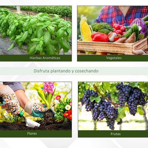 Outsunny Estufa Tipo Túnel 800x300x200cm com 12 Janelas e Porta Enrolável Cobertura de PE 140gm² e Aço para Cultivo de Plantas Verduras Branco