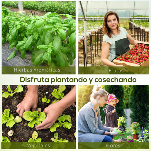 Outsunny Estufa tipo Túnel 8x3x2m Aço e PE 140 gm² Estufa para Cultivo de Plantas Tomates Verduras com 12 Janelas e Porta Enroláveis Verde