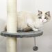 Árbol Rascador para Gatos PawHut Árbol Rascador para Gatos PawHut Gris