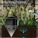 Jardinera con Biombo Metal Outsunny Jardinera con Biombo Metal Outsunny Negro