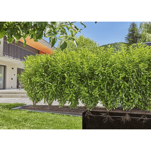 Tubo de gotejamento Gardena 13504-20 Extensão 50 m