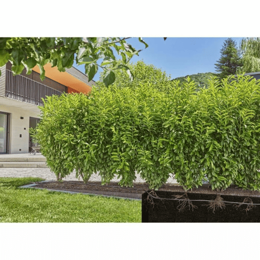 Tubo de gotejamento Gardena 13503-20 25 m