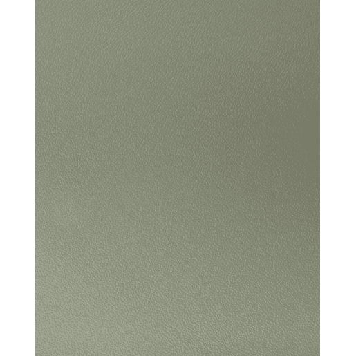 Conjunto de 2 cadeiras de jantar SIBLEY Verde claro