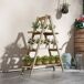 Estantería para Planta Madera de Abeto Outsunny Estantería para Planta Madera de Abeto Outsunny Marrón