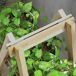 Estantería para Planta Madera de Abeto Outsunny Estantería para Planta Madera de Abeto Outsunny Marrón