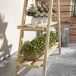 Estantería para Planta Madera de Abeto Outsunny Estantería para Planta Madera de Abeto Outsunny Marrón