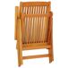 2 Sillas de jardín plegables de madera maciza de eucalipto 2 Sillas de jardín plegables de madera maciza de eucalipto Marrón