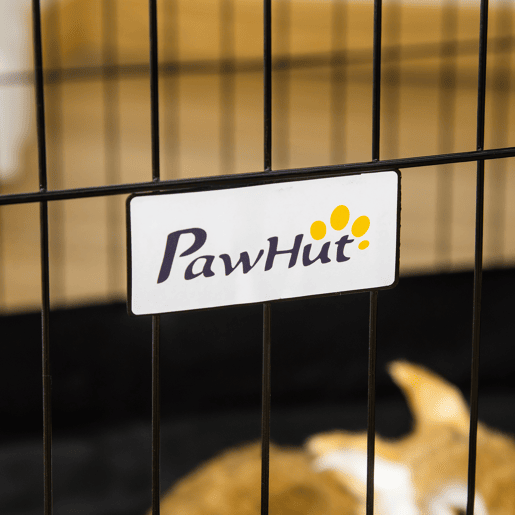 PawHut Gaiola para Animais Pequenos Parque para Animais de Estimação com 2 Portas Base com Tecido Oxford Impermeável e Toldo para Interior e Exterior 90x75x75 cm Preto e Verde PawHut Gaiola para Animais Pequenos Parque para Animais de Estimação com 2 Portas Base com Tecido Oxford Impermeável e Toldo para Interior e Exterior 90x75x75 cm Preto e Verde