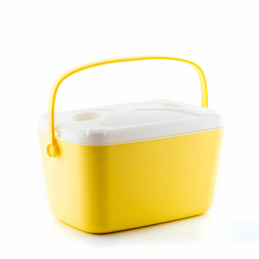 Geleira Portátil Rígida Lilty InnovaGoods 15 L Geleira Portátil Rígida Lilty InnovaGoods 15 L