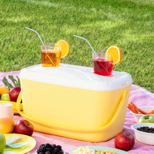Geleira Portátil Rígida Lilty InnovaGoods 15 L Geleira Portátil Rígida Lilty InnovaGoods 15 L