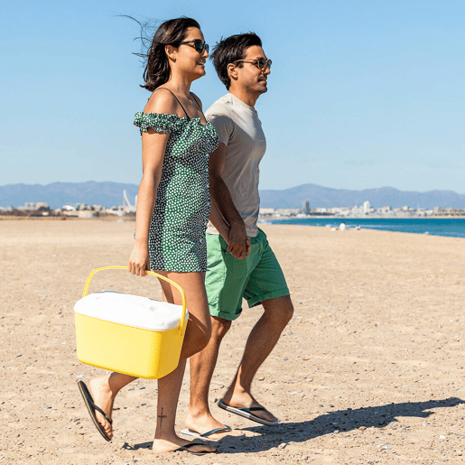 Geleira Portátil Rígida Lilty InnovaGoods 15 L Geleira Portátil Rígida Lilty InnovaGoods 15 L