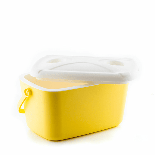 Geleira Portátil Rígida Lilty InnovaGoods 15 L Geleira Portátil Rígida Lilty InnovaGoods 15 L