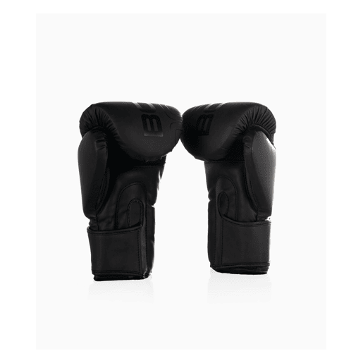 Luvas de Boxe Furious 12OZ (par) - BOOMFIT