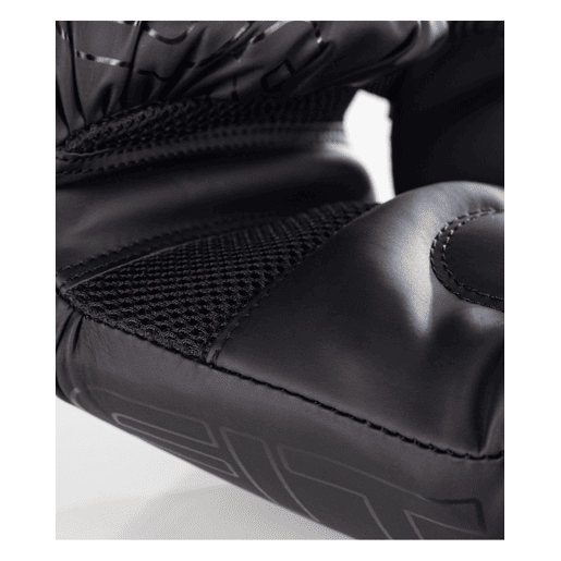 Luvas de Boxe Furious 12OZ (par) - BOOMFIT