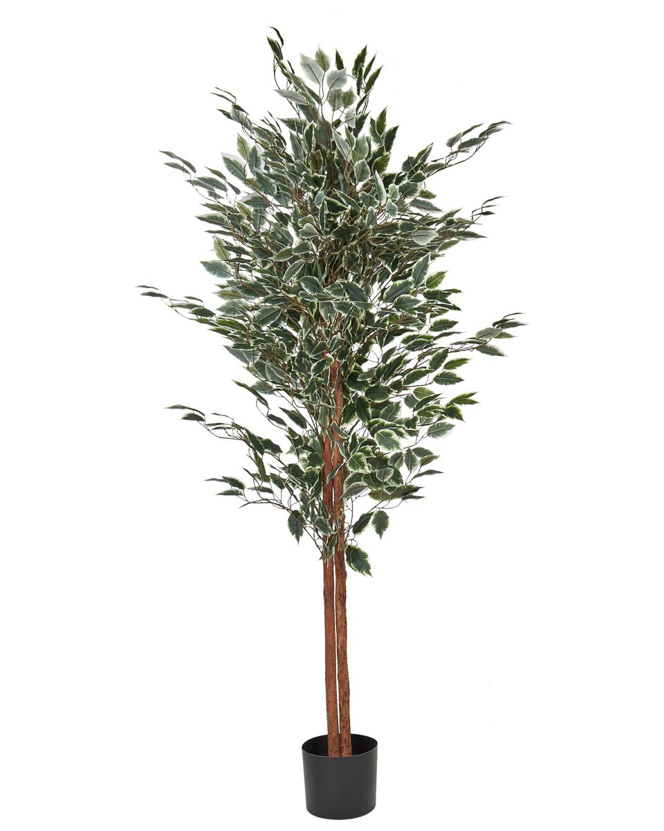 Beliani Planta artificial FICUS