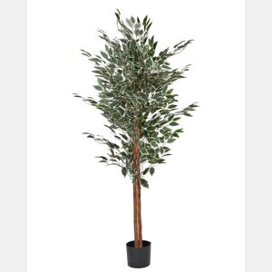 Beliani Planta artificial FICUS