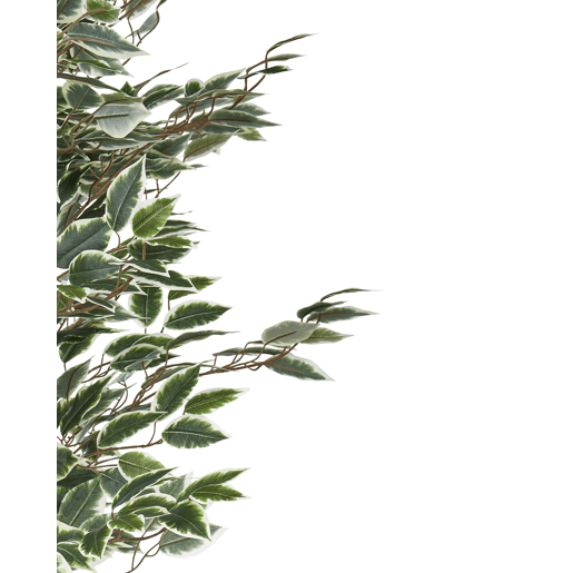 Beliani Planta artificial FICUS