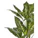 Beliani Planta artificial DIEFFENBACHIA Beliani Planta artificial DIEFFENBACHIA Verde