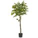 Beliani Planta artificial Árbol Limonero Beliani Planta artificial Árbol Limonero Verde