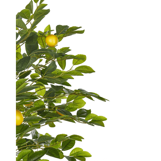 Planta artificial LEMON TREE 156 cm Verde Planta artificial LEMON TREE 156 cm Verde