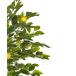 Beliani Planta artificial Árbol Limonero Beliani Planta artificial Árbol Limonero Verde