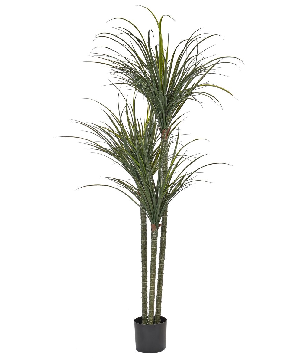 Beliani Planta artificial DRACAENA ANITA
