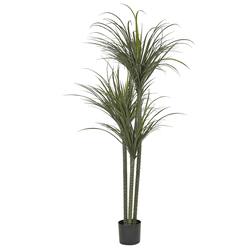 Planta artificial DRACAENA ANITA 198 cm Verde