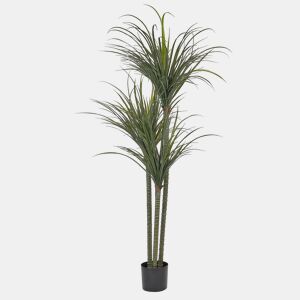 Planta artificial DRACAENA ANITA 198 cm Verde
