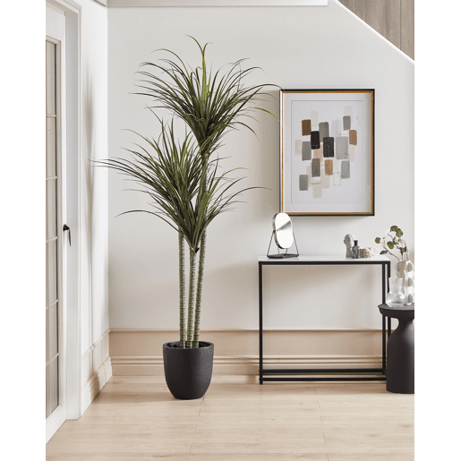 Planta artificial DRACAENA ANITA 198 cm Verde