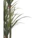 Beliani Planta artificial DRACAENA ANITA Beliani Planta artificial DRACAENA ANITA Verde