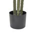 Beliani Planta artificial DRACAENA ANITA Beliani Planta artificial DRACAENA ANITA Verde