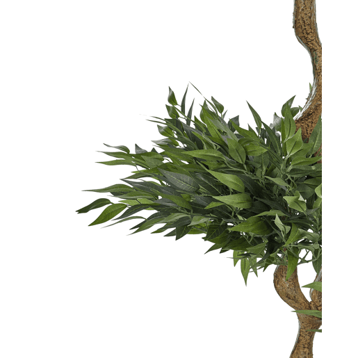 Planta artificial RUSCUS TREE 166 cm Verde Planta artificial RUSCUS TREE 166 cm Verde
