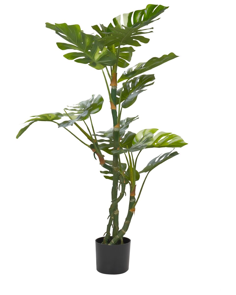 Beliani Planta artificial PLANTA MONSTERA