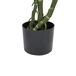 Beliani Planta artificial PLANTA MONSTERA Beliani Planta artificial PLANTA MONSTERA Verde
