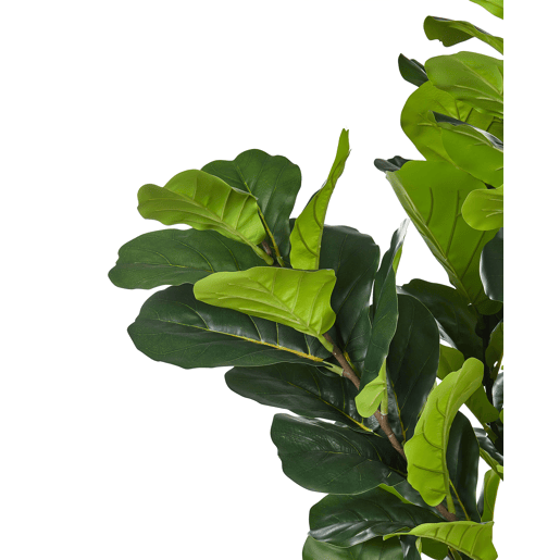 Planta artificial FIG TREE 162 cm Verde Planta artificial FIG TREE 162 cm Verde