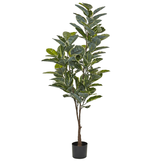 Planta artificial FICUS ELASTICA 160 cm Verde