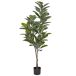 Beliani Planta artificial FICUS ELASTICA Beliani Planta artificial FICUS ELASTICA Verde