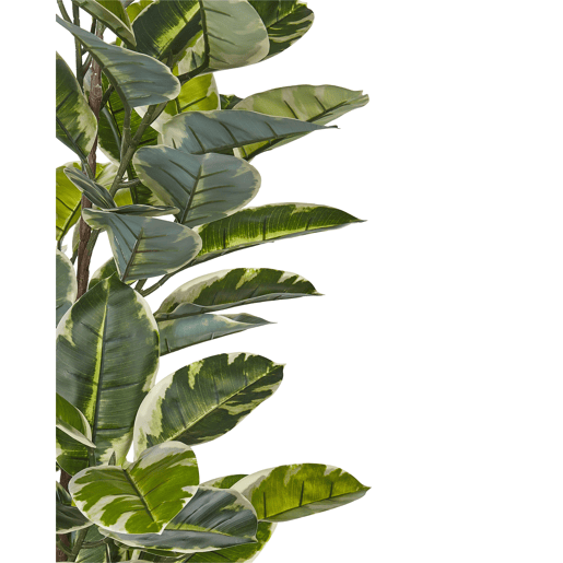 Planta artificial FICUS ELASTICA 160 cm Verde