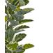 Beliani Planta artificial FICUS ELASTICA Beliani Planta artificial FICUS ELASTICA Verde