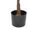 Beliani Planta artificial FICUS ELASTICA Beliani Planta artificial FICUS ELASTICA Verde