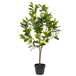 Beliani Planta artificial Árbol Limonero Beliani Planta artificial Árbol Limonero Verde
